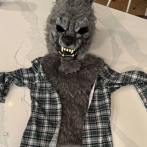 Boys Medium California Costumes Gray Werewolf Kids Costume